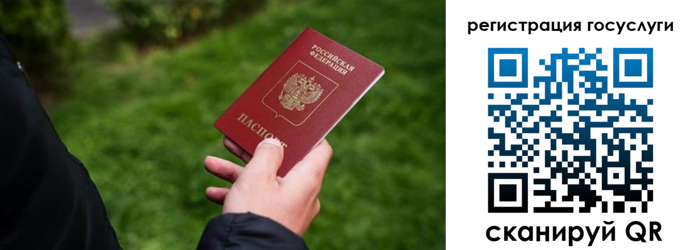 прописка в Белой Холунице